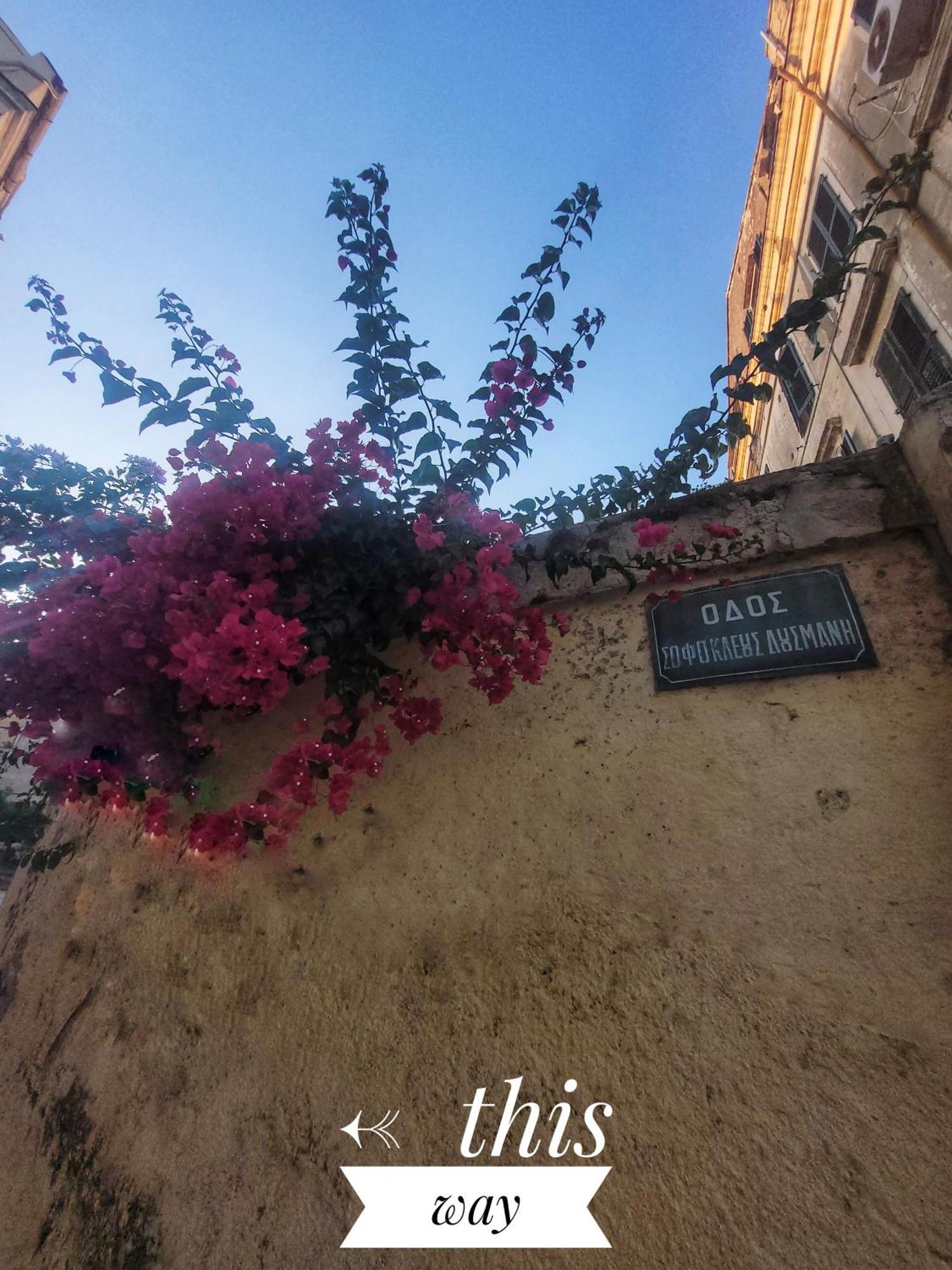 Nenas Volto Apartment Corfu  Εξωτερικό φωτογραφία